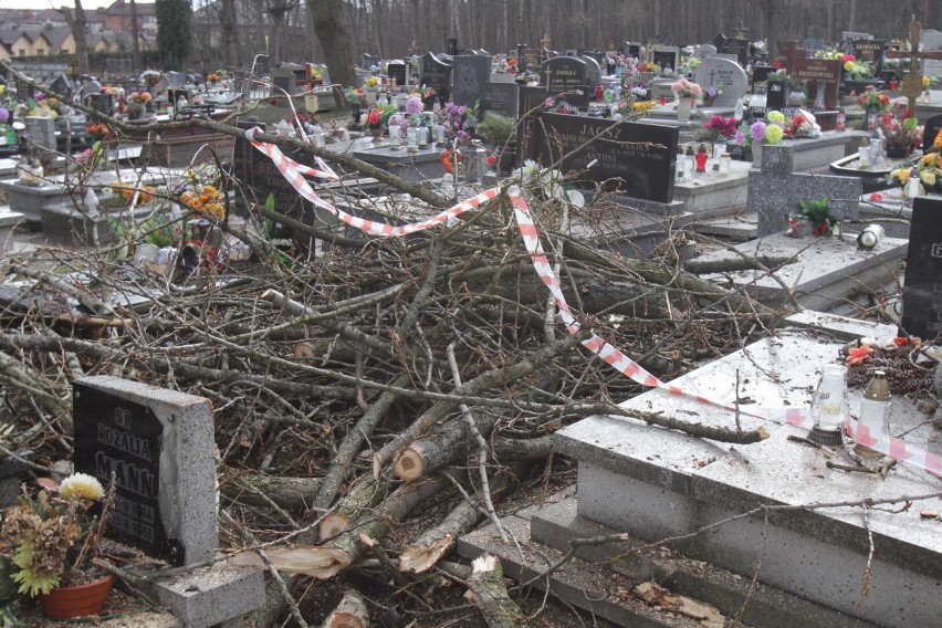 Skutki wichury w Świętochłowicach: Zniszczenia na cmentarzu przy ul. Wiśniowej