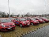 WORD Sieradz sprzedaje 14 aut, wszystkie są czerwone! Można tanio kupić! ZDJĘCIA