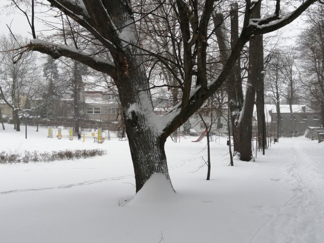 Park Kościuszki w Wałbrzychu zasypany śniegiem