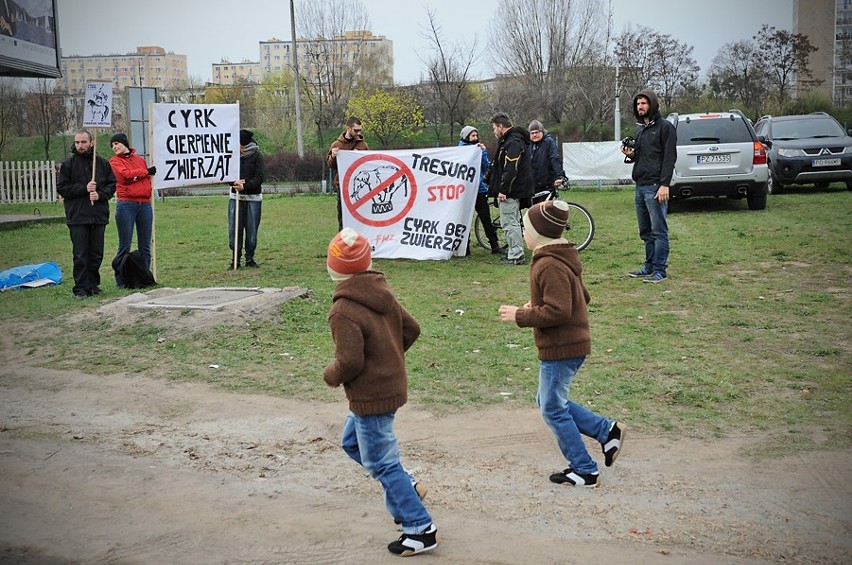Cyrk Zalewski - Protestowali w obronie zwierząt [ZDJĘCIA]