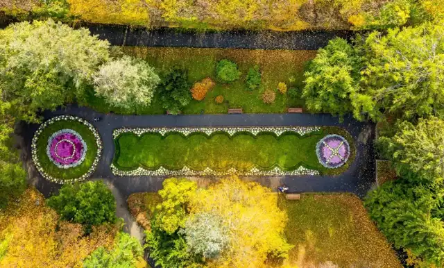 Kolorowa jesień w Gdańsku. Zobacz jak na zdjęciach Przemysława Świderskiego z drona wygląda Park Oliwski