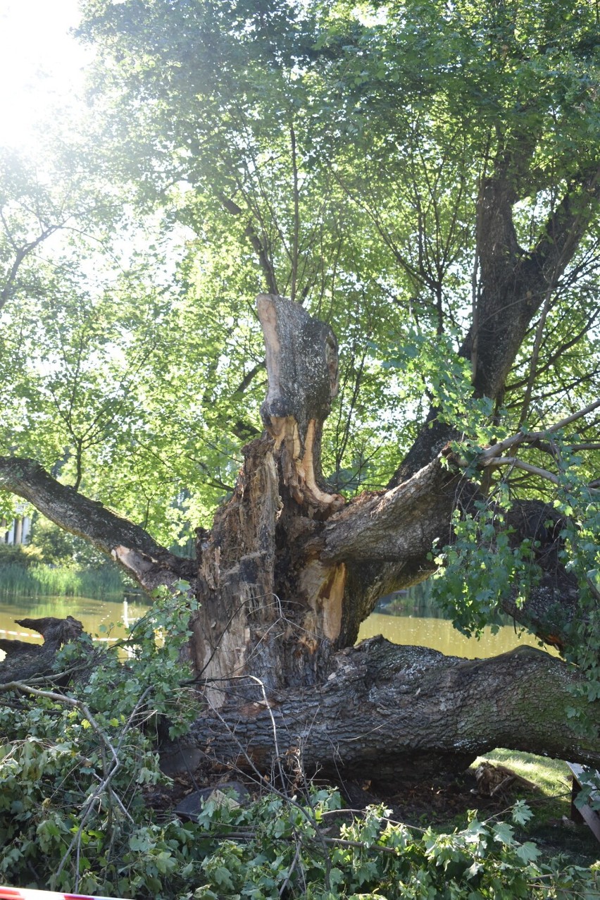 Paklon został poważnie uszkodzony podczas sobotniej wichury