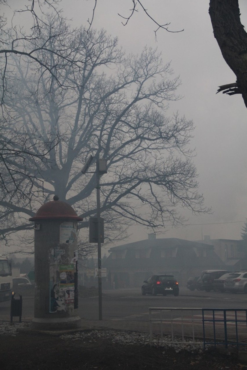 Smog w Sycowie. Uciążliwy dym na ulicach miasta