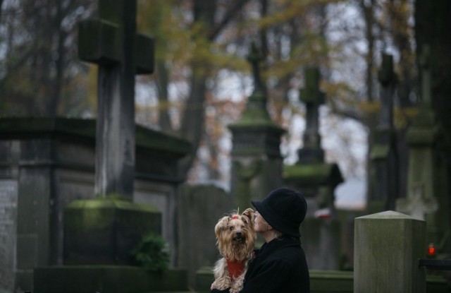 Opole. Ludzie wyprowadzają psy na cmentarz na Półwsi. Ratusz: Nie można tego zakazać