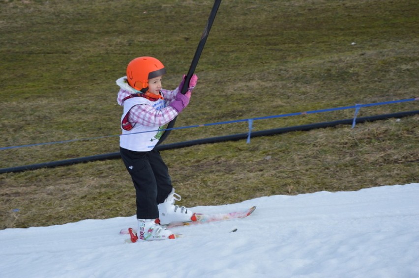 VIII Puchar Wieżycy - slalom gigant 4.03.2017