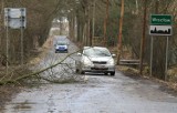 Uwaga, nadciąga wichura. Będzie wiało dzisiaj w nocy i jutro do południa