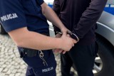 Policjanci z bełchatowskiej komendy zatrzymali 42-latka, który usłyszał zarzuty kradzieży