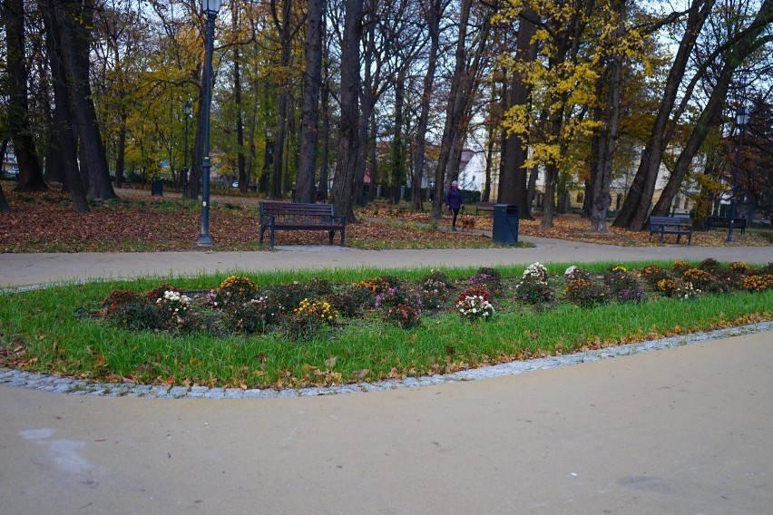 To jeszcze nie koniec jesieni w Rzeszowie! Park przy ul. Dąbrowskiego w pięknych, złocistych barwach. A na ziemi mnóstwo liści