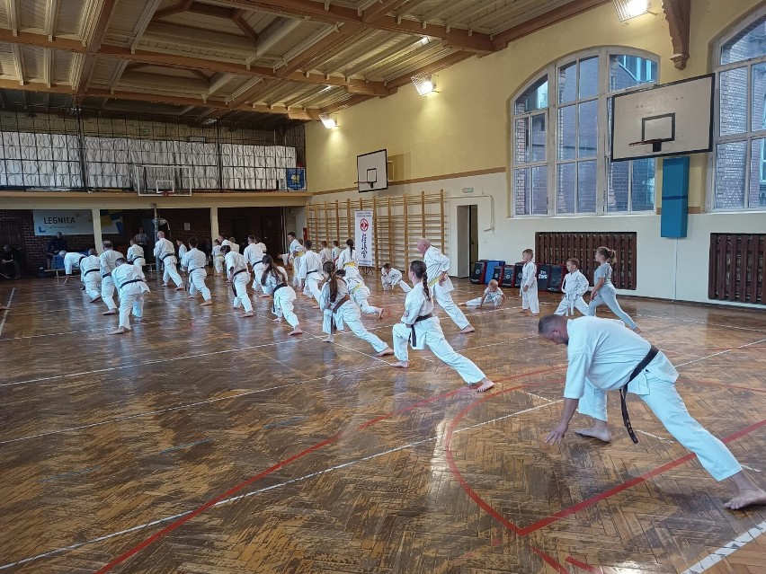 Międzynarodowe Seminarium Szkoleniowe  Karate Kyokushin w Legnicy, zdjęcia