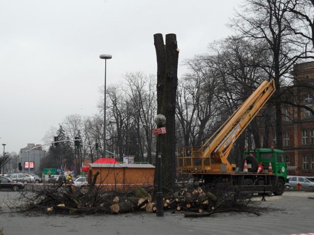 Wycinka drzew na placu Wolności w Tarnowskich Górach