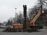 KRÓTKO: Pod topór poszły dwa stare drzewa w ścisłym centrum Tarnowskich Gór