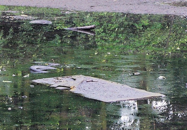 Tuż za mostem w wodzie leżą stary materac i opona.