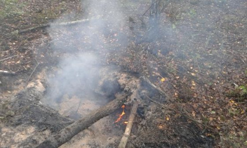 pożar w rezerwacie Torfowisko Karaska