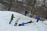 Nysa. Pierwszy śnieg tej zimy, który od razu nie stopniał! Dzieci mają mnóstwo frajdy. Zobacz zdjęcia!