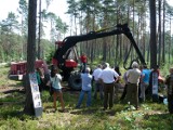 Ukraińscy leśnicy w lubelskich lasach