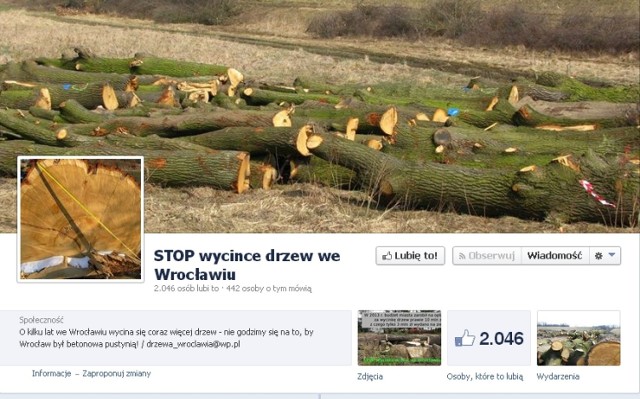 Prezydent miasta wydał oświadczenie w sprawie wycinki drzew, ...