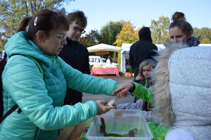 XII Targ Produktów Ekologicznych w Kartuzach