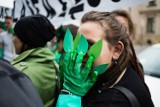 Kraków. Protestowali przeciw wycince, której się nie planuje [ZDJĘCIA]