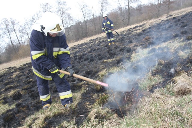 Pożary traw w Mysłowicach: Aż pięć razy mysłowiccy strażacy wyjeżdżali w weekend do gaszenia pożarów traw
