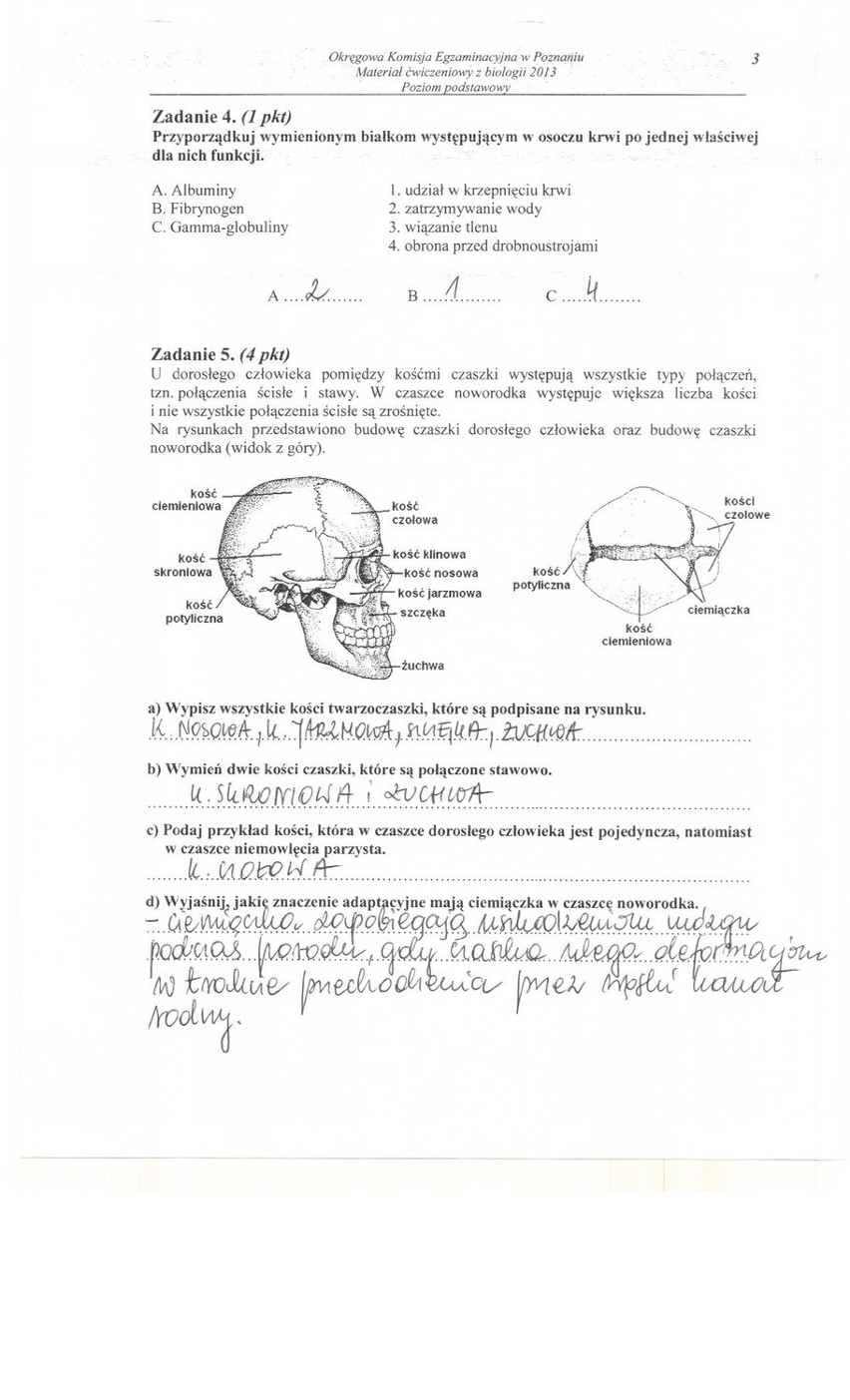 Próbna matura 2013: Biologia [ARKUSZE, ODPOWIEDZI]