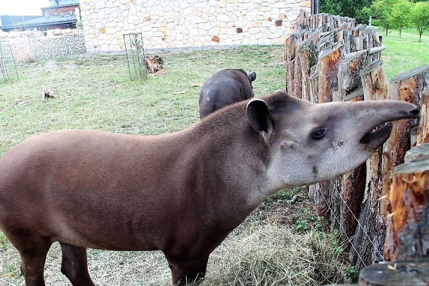 Zamojski Ogród Zoologiczny