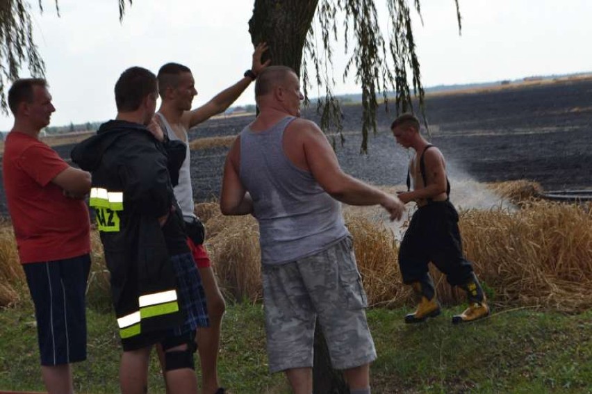 Pożar pszenicy w Bronowie