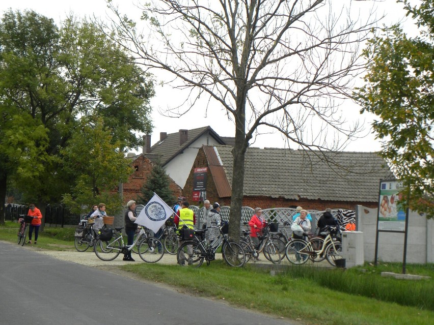 Krotoszyn. Studenci UTW ponownie na rowerowym szlaku [FOTO] 