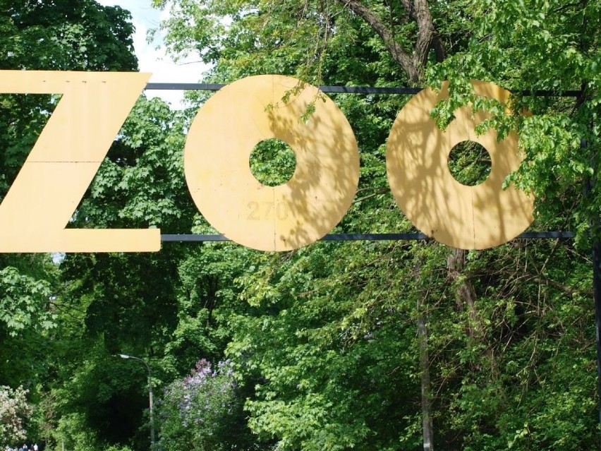 Warszawskie zoo zostało otwarte w roku 1928. Na powierzchni...