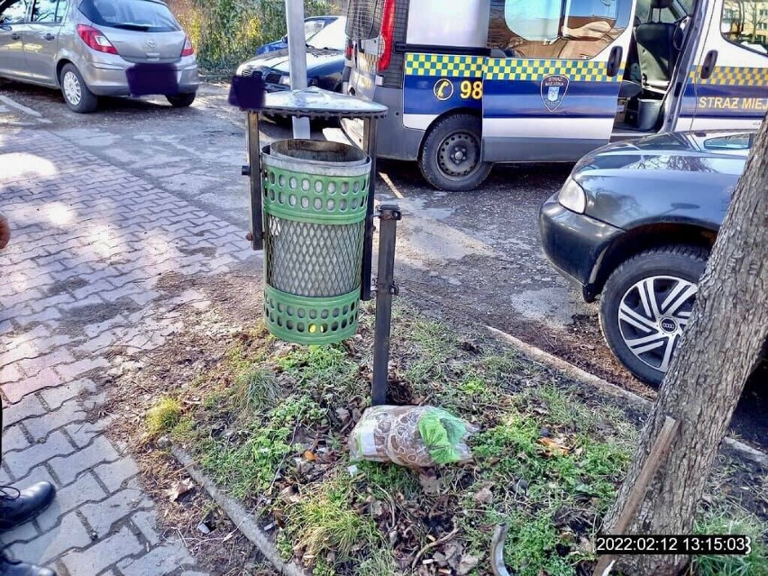 Wąż w koszu na śmieci w Cieszynie! Nietypowa interwencja Straży Miejskiej