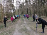 Gmina Czermin. Marsz nordic walking w Żegocinie. Trasa wiodła polnymi i leśnymi ścieżkami