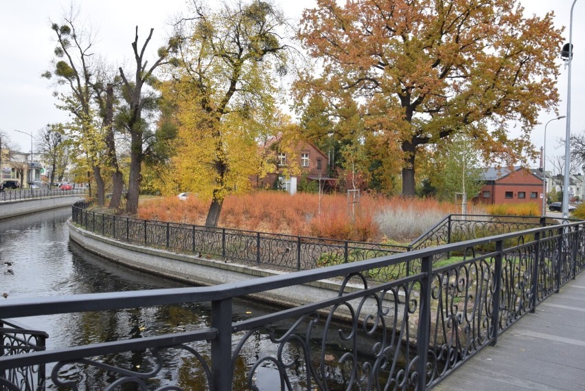Jesienny spacer po Pruszczu. Zobacz, jak wygląda miasto w jesiennych barwach |ZDJĘCIA