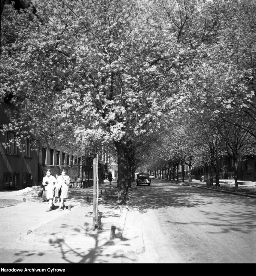 Ulica Narbutta w 1955 roku. Jeszcze przed przyłączeniem do...
