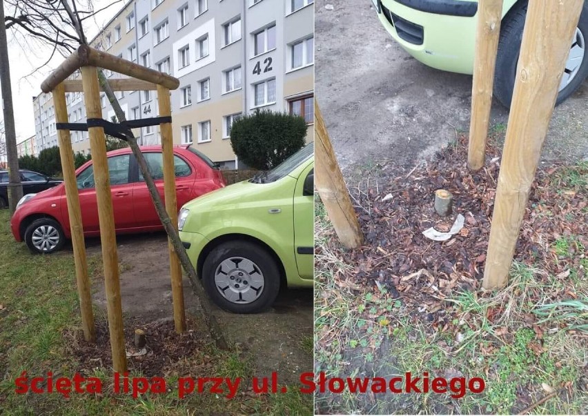 Tak wyglądają niektóre tereny zieleni w Brzegu po...