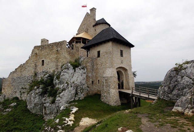 Zamek został odbudowany przez Dariusza Laseckiego i jego brata, b. senatora, Jarosława Laseckiego. Warownia została zbudowana za panowania Kazimierza Wielkiego, w drugiej połowie XIV wieku.