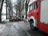 Wypadek Probark. Samochód rozbity na drzewie, ranny kierowca [ZDJĘCIA]