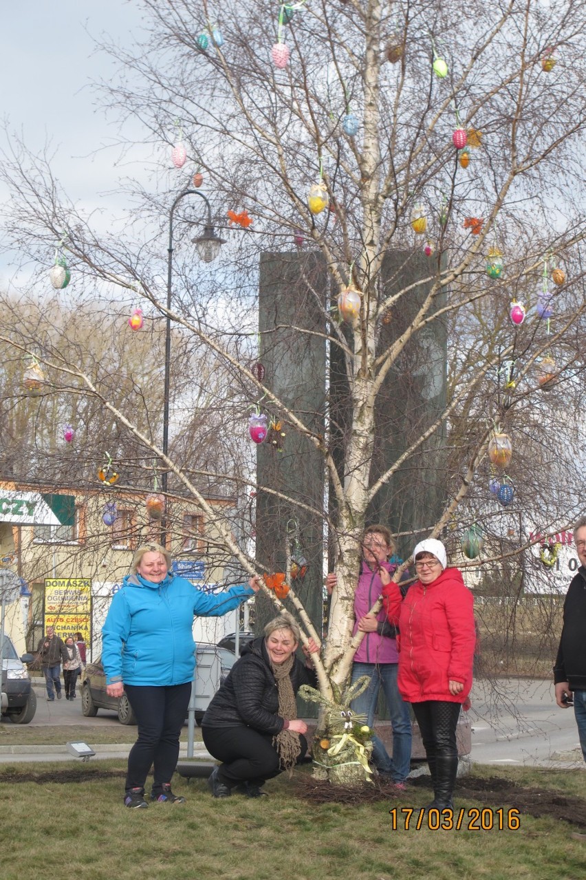 Drzewo wielkanocne w Przodkowie udekorowano po raz pierwszy,...