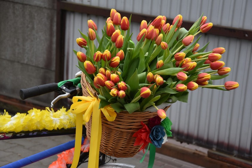 Objazdowy Dzień Kobiet w Ptaszkowie. Rozdano blisko 320 tulipanów
