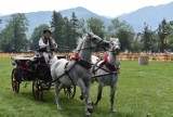 Zakopane. Góralskie zaprzęgi stanęły w szranki w ramach Mistrzostw Podhala w powożeniu 