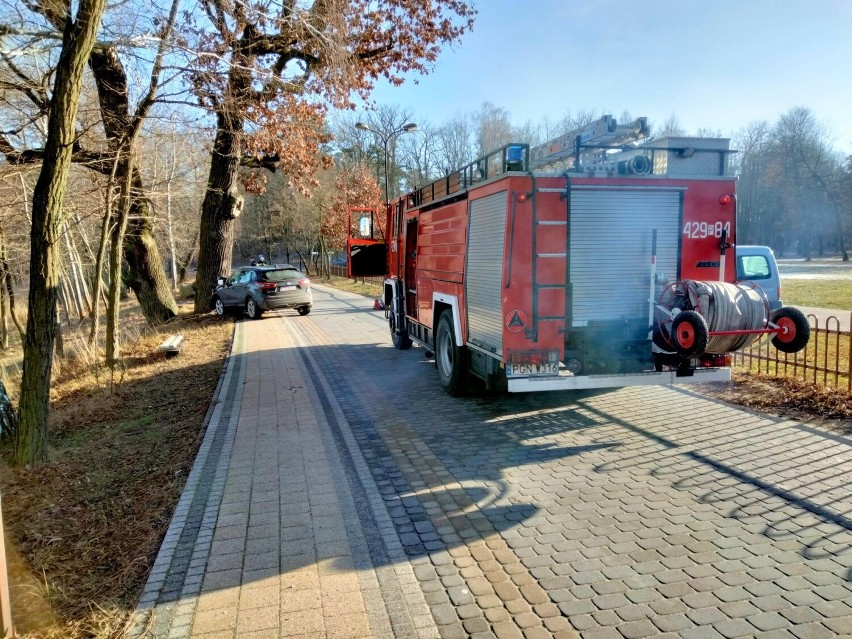 Gmina Witkowo. Wypadek w Skorzęcinie. Kierowca Nissana zasłabł i uderzył w drzewo