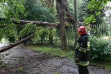 Kościan: Nawałnica w powiecie kościańskim