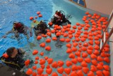 Ruda Śląska: Aquadrom nurkował dla WOŚP