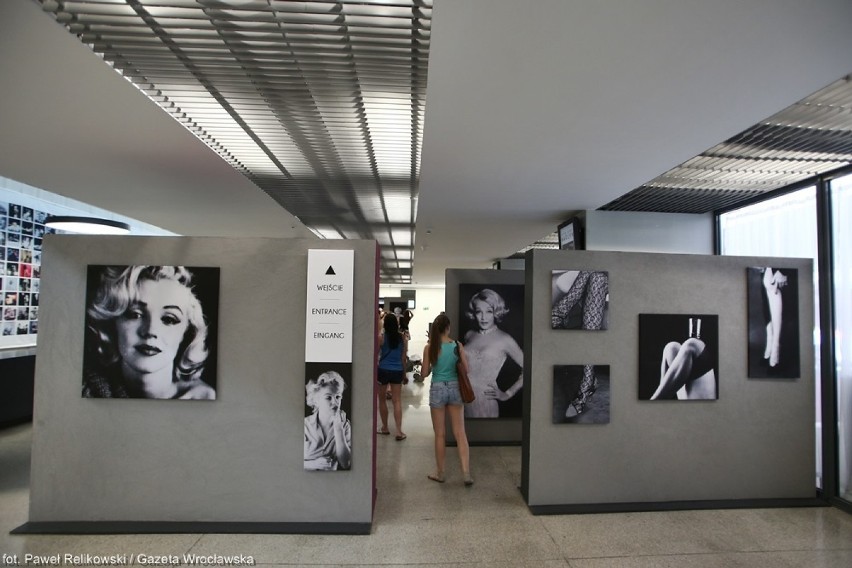 Wystawa zdjęć Marilyn Monroe dostępna dla wszystkich [FOTO]