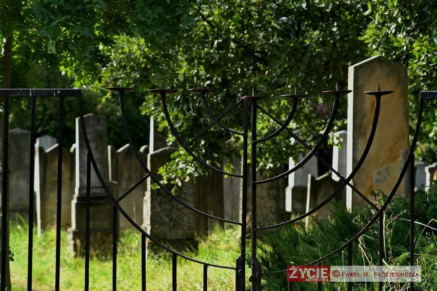 Cmentarz żydowski w Koźminie