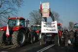 Rolnicy protestowali pod Biłgorajem. ZDJĘCIA, FILM