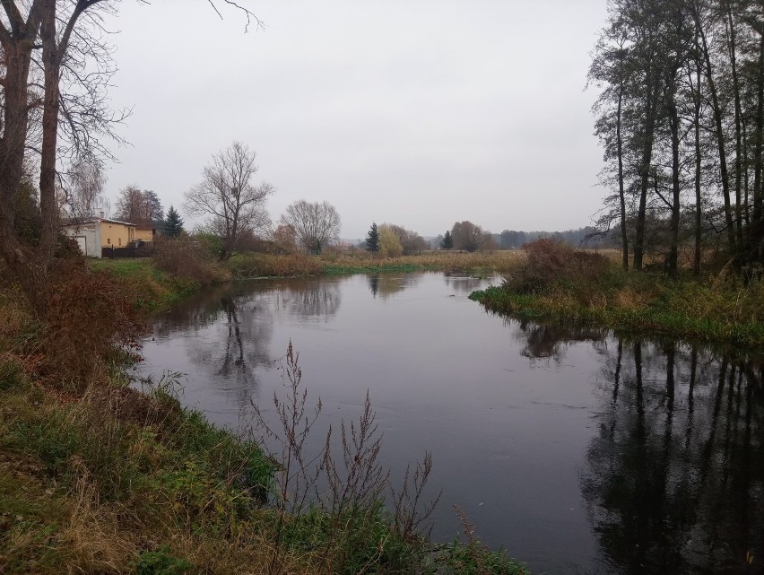 Urokliwe meandry Gwdy na osiedlu Motylewo [ZDJĘCIA]