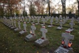 Wszystkich Świętych 2022. Cmentarz wojskowy na Majkowie w Kaliszu ZDJĘCIA