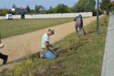 Sadzą setki krzewów i drzew. Najwięcej na os. Południe [zdjęcia]