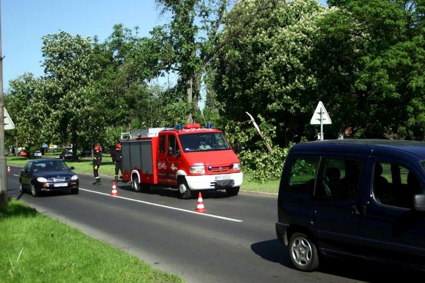 Piła. Wypadek na Wojska Polskiego. Opel zderzył się z autokarem przewożącym dzieci [ZDJĘCIA i WIDEO]