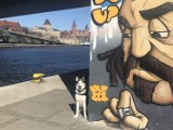W Szczecinie właściciel psa nie zapłaci podatku. To na pewno dobry pomysł? 