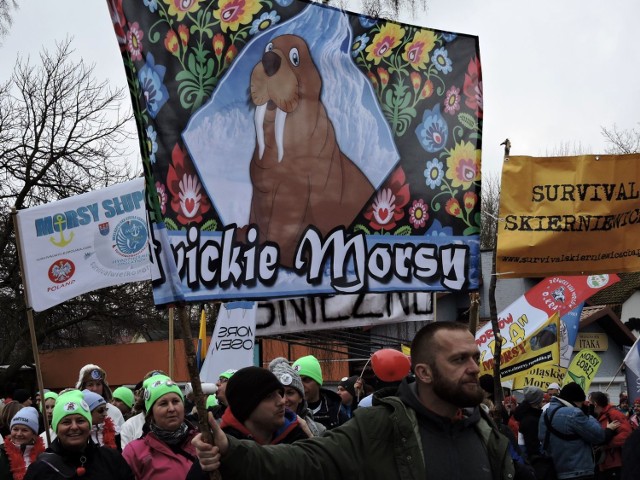 Parada Morsów w Mielnie , 14 luty 2016 rok
XIII Międzynarodowy Zlot Morsów